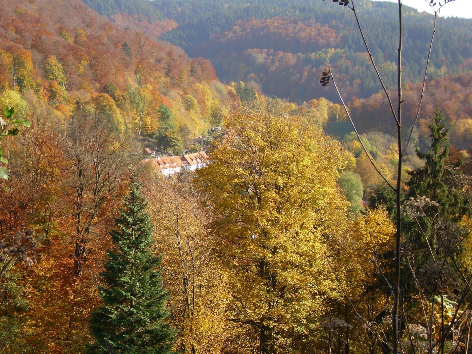 Naturkost-Hotel Harz Bad Grund Eksteriør billede