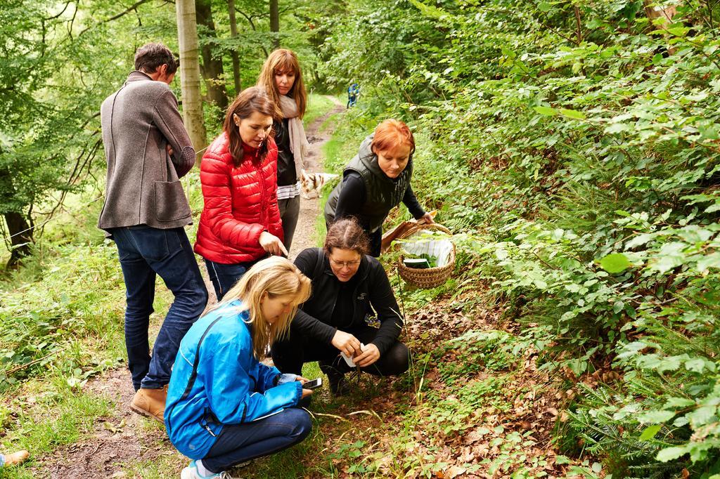 Naturkost-Hotel Harz Bad Grund Eksteriør billede