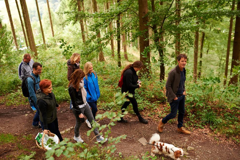 Naturkost-Hotel Harz Bad Grund Eksteriør billede